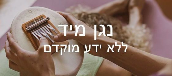 הניגון בסנסולה אינו דורש כל ידע או ניסיון מוסיקלי!